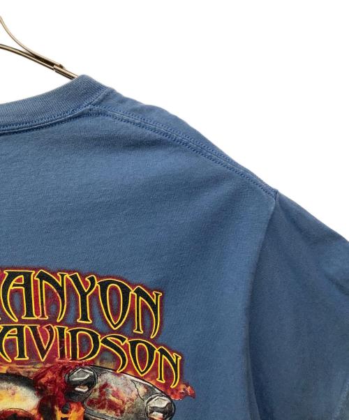 HARLEY-DAVIDSON（ハーレーダビッドソン）HARLEY-DAVIDSON (ハーレーダビッドソン) プリントTシャツ スカイブルー サイズ:不明の古着・服飾アイテム