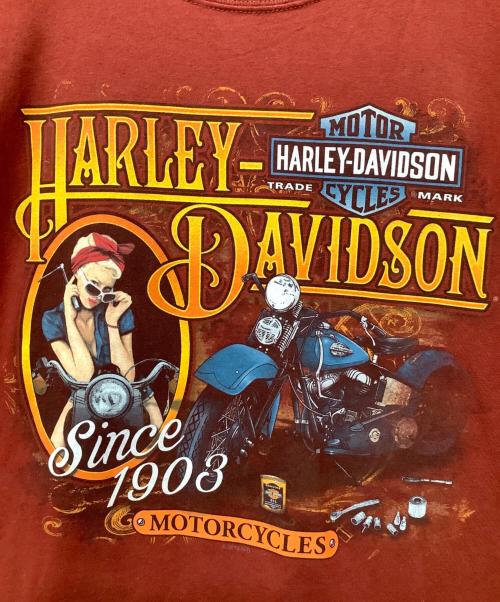 HARLEY-DAVIDSON（ハーレーダビッドソン）HARLEY-DAVIDSON (ハーレーダビッドソン) Hanes (ヘインズ) 半袖Tシャツ レッド サイズ:2XLの古着・服飾アイテム