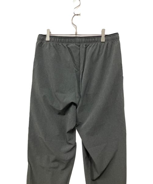 THE NORTH FACE（ザ ノース フェイス）THE NORTH FACE (ザ ノース フェイス) フレキシブルロングパンツ グレー サイズ:Lの古着・服飾アイテム