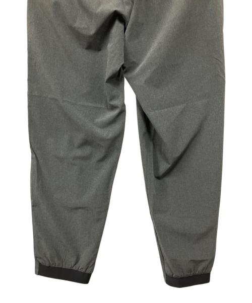 THE NORTH FACE（ザ ノース フェイス）THE NORTH FACE (ザ ノース フェイス) フレキシブルロングパンツ グレー サイズ:Lの古着・服飾アイテム