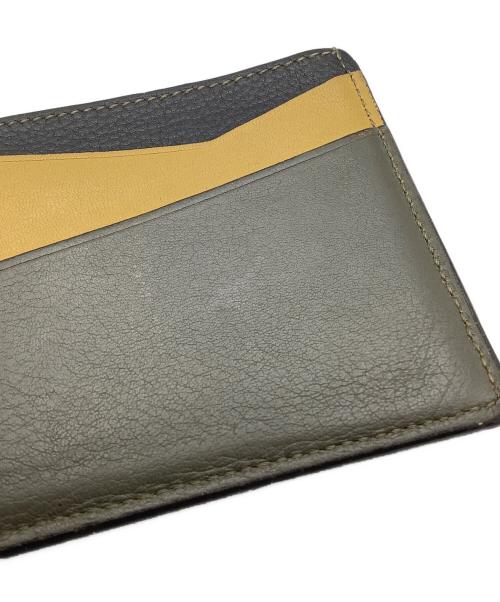 LOEWE（ロエベ）LOEWE (ロエベ) カードケース マルチカラーの古着・服飾アイテム