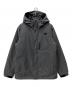 THE NORTH FACE（ザ ノース フェイス）の古着「ダウンジャケット」｜グレー