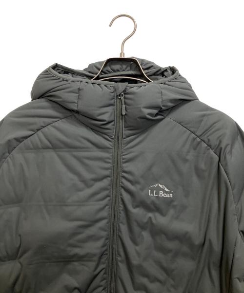 L.L.Bean（エルエルビーン）L.L.Bean (エルエルビーン) ダウンジャケット グレー サイズ:Lの古着・服飾アイテム