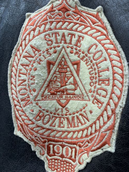 AVIREX（アヴィレックス）AVIREX (アヴィレックス) スタジャン ブラック×ベージュ サイズ:Mの古着・服飾アイテム