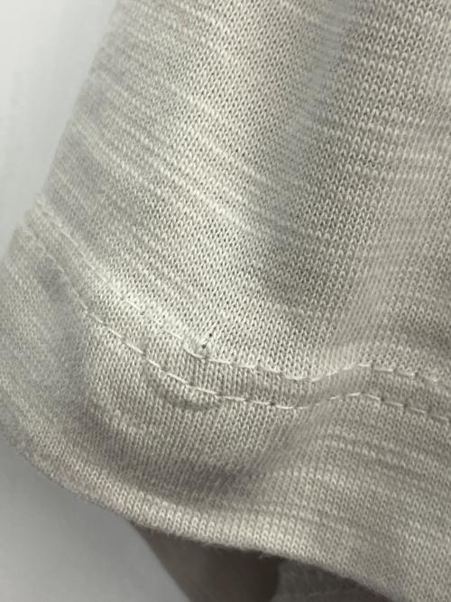 NIKE（ナイキ）NIKE (ナイキ) 半袖カットソー ライトグレー サイズ:Sの古着・服飾アイテム