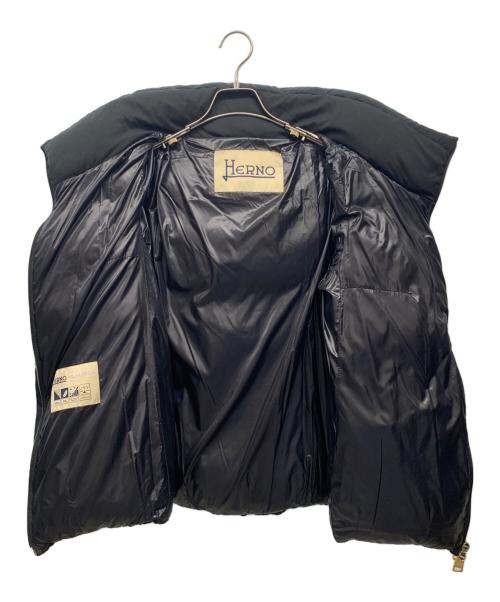 HERNO（ヘルノ）HERNO (ヘルノ) ダウンジャケット ブラック サイズ:44の古着・服飾アイテム