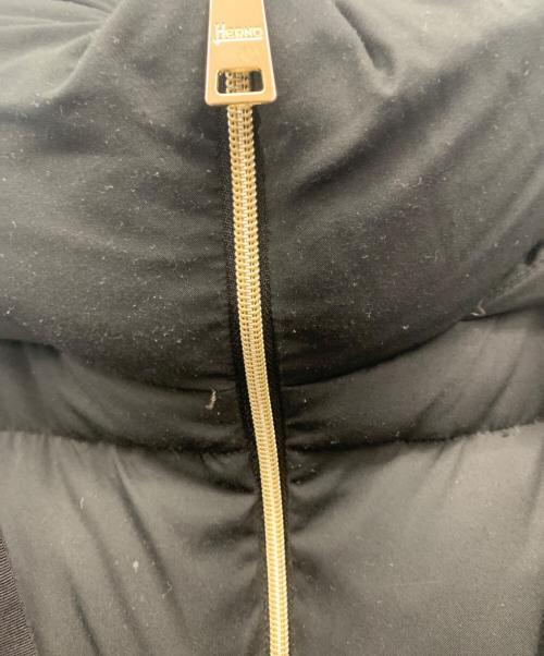 HERNO（ヘルノ）HERNO (ヘルノ) ダウンジャケット ブラック サイズ:44の古着・服飾アイテム