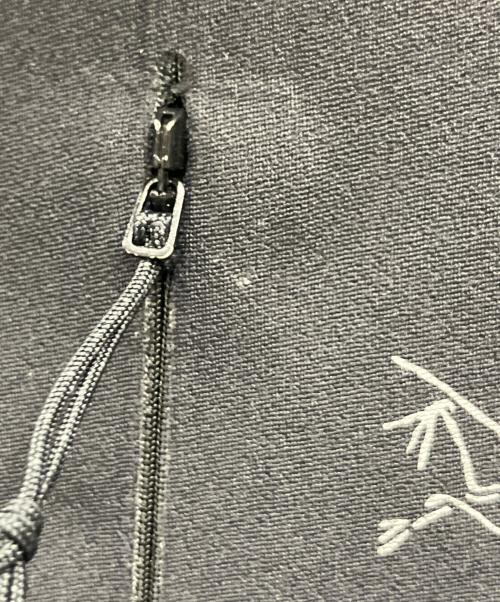 ARC'TERYX（アークテリクス）ARC'TERYX (アークテリクス) Delta Pullover Hoody ブラック サイズ:Mの古着・服飾アイテム