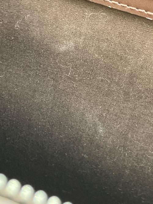 LOUIS VUITTON（ルイ ヴィトン）LOUIS VUITTON (ルイ ヴィトン) ハンドバッグ ブラウンの古着・服飾アイテム