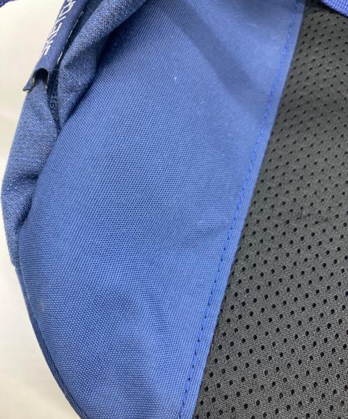 GREGORY（グレゴリー）GREGORY (グレゴリー) リュック ブルーの古着・服飾アイテム