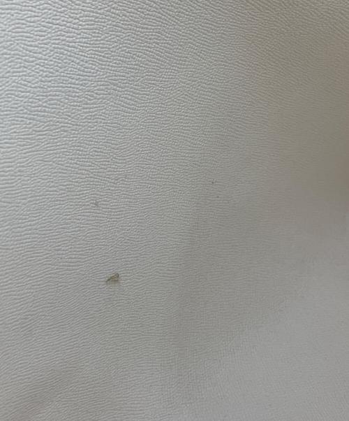 COACH（コーチ）COACH (コーチ) トートバッグ ベージュの古着・服飾アイテム