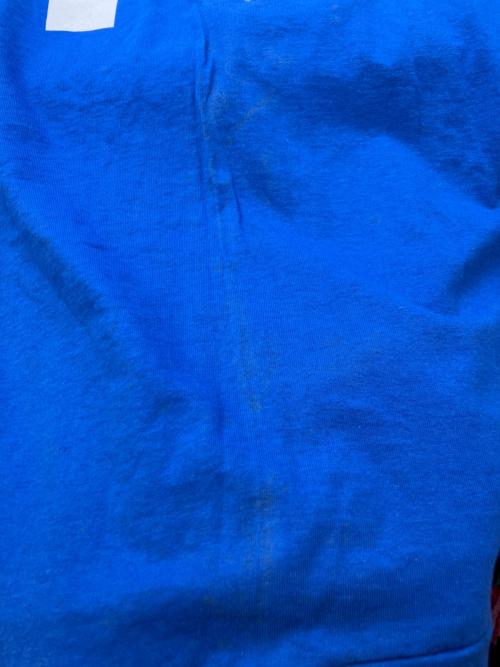 Majestic（マジェスティック）Majestic (マジェスティック) 半袖Tシャツ ブルー サイズ:Lの古着・服飾アイテム