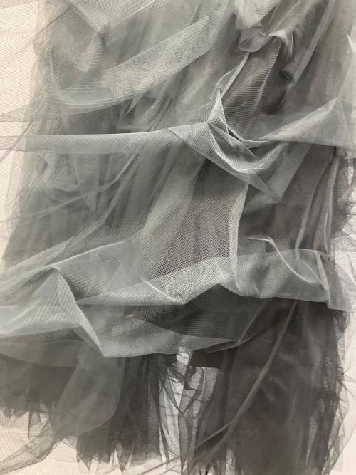 Belle vintage（ベル ヴィンテージ）Belle vintage (ベル ヴィンテージ) ボリュームチュールスカート ブラック サイズ:Freeの古着・服飾アイテム