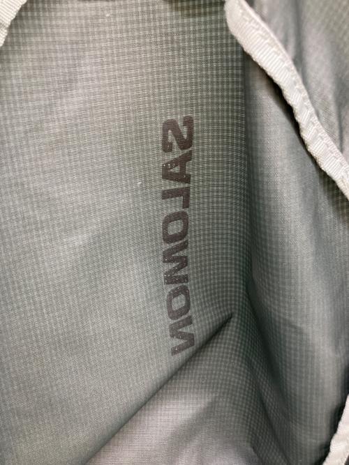 SALOMON（サロモン）SALOMON (サロモン) リュック グレーの古着・服飾アイテム