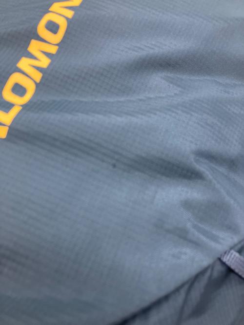 SALOMON（サロモン）SALOMON (サロモン) リュック グレーの古着・服飾アイテム