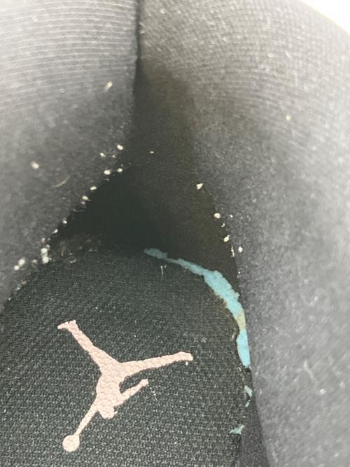 NIKE（ナイキ）NIKE (ナイキ) ハイカットスニーカー グリーン×ホワイト サイズ:28.5の古着・服飾アイテム