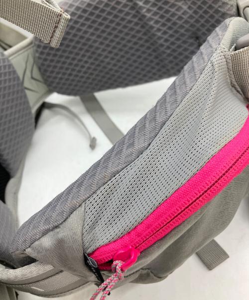 THE NORTH FACE（ザ ノース フェイス）THE NORTH FACE (ザ ノース フェイス) バックパック グレー×ピンクの古着・服飾アイテム