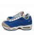 NIKE (ナイキ) ローカットスニーカー ブルー×レッド サイズ:28：13000円