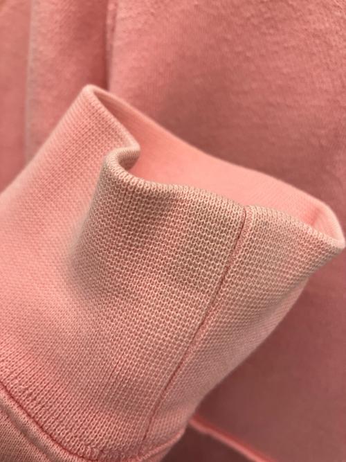 stussy（ステューシー）stussy (ステューシー) パーカー ピンク サイズ:Sの古着・服飾アイテム