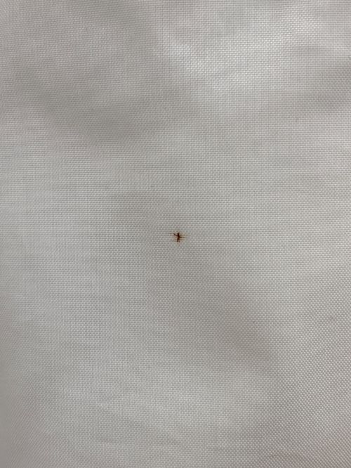 NIKE（ナイキ）NIKE (ナイキ) アノラックパーカー ネイビー×イエロー サイズ:Mの古着・服飾アイテム