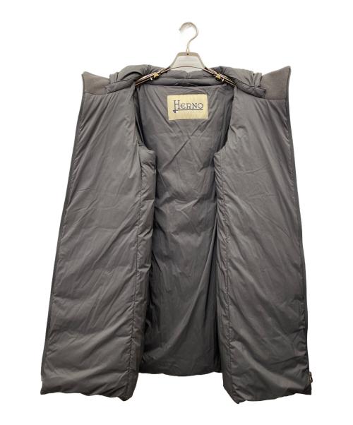 HERNO（ヘルノ）HERNO (ヘルノ) ダウンコート グレー サイズ:44の古着・服飾アイテム