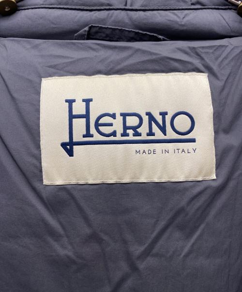 HERNO（ヘルノ）HERNO (ヘルノ) ダウンコート グレー サイズ:44の古着・服飾アイテム