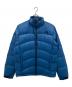 THE NORTH FACE（ザ ノース フェイス）の古着「ダウンジャケット」｜ブルー
