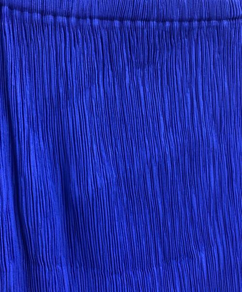 ISSEY MIYAKE（イッセイミヤケ）ISSEY MIYAKE (イッセイミヤケ) ISSEY MIYAKE　プリーツスカート ブルー サイズ:3の古着・服飾アイテム