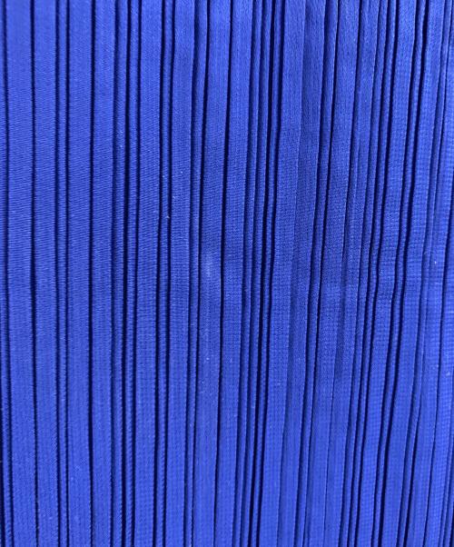 ISSEY MIYAKE（イッセイミヤケ）ISSEY MIYAKE (イッセイミヤケ) ISSEY MIYAKE プリーツスカート ブルー サイズ:2の古着・服飾アイテム