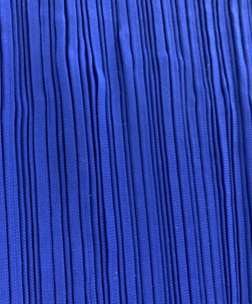 ISSEY MIYAKE（イッセイミヤケ）ISSEY MIYAKE (イッセイミヤケ) ISSEY MIYAKE プリーツスカート ブルー サイズ:2の古着・服飾アイテム