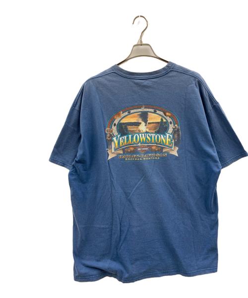 HARLEY-DAVIDSON（ハーレーダビッドソン）HARLEY-DAVIDSON (ハーレーダビッドソン) HARLEY-DAVIDSON　半袖Tシャツ ブルー サイズ:不明の古着・服飾アイテム