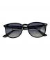 RAY-BAN（レイバン）の古着「RAY-BAN サングラス」｜ブラック