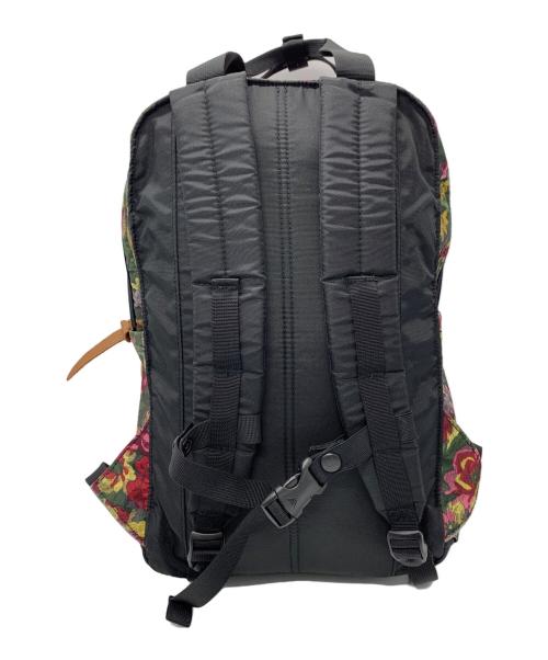 GREGORY（グレゴリー）GREGORY (グレゴリー) GREGORY　イージーピージーデイ　リュック ブラック×グリーンの古着・服飾アイテム