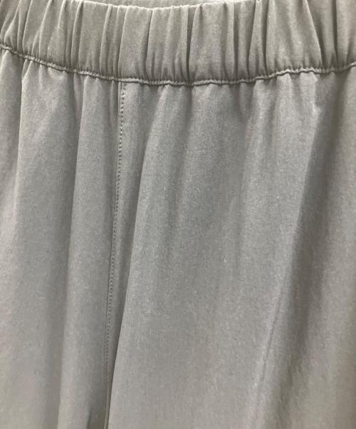 THE NORTH FACE（ザ ノース フェイス）THE NORTH FACE (ザ ノース フェイス) FLEXIBLE ANKLE PANT ブラック サイズ:Lの古着・服飾アイテム