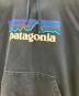 Patagoniaの古着・服飾アイテム：5000円
