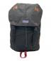 Patagonia（パタゴニア）の古着「Patagonia　リュック」｜ブラック