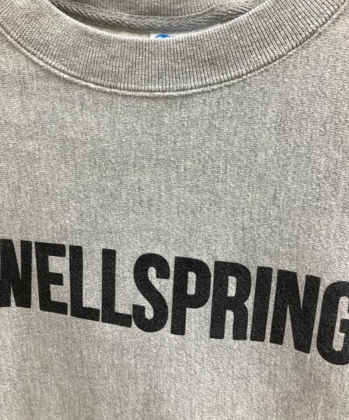 Champion REVERSE WEAVE（チャンピオン リバース ウィーブ）Champion REVERSE WEAVE (チャンピオン リバース ウィーブ) スウェット グレー サイズ:Lの古着・服飾アイテム