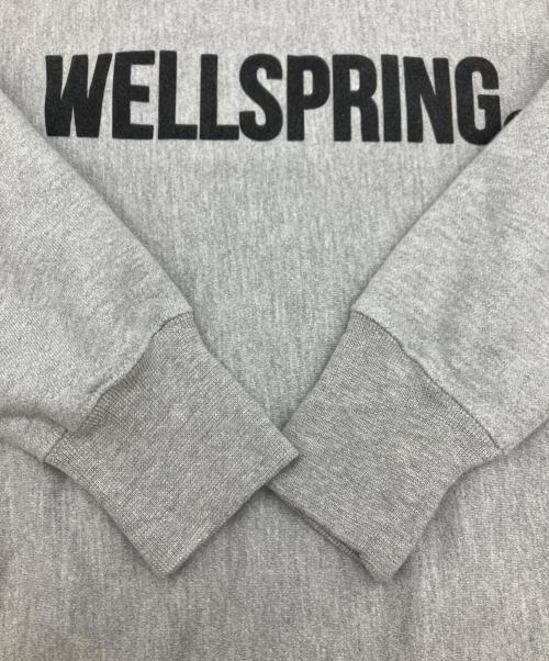 Champion REVERSE WEAVE（チャンピオン リバース ウィーブ）Champion REVERSE WEAVE (チャンピオン リバース ウィーブ) スウェット グレー サイズ:Lの古着・服飾アイテム