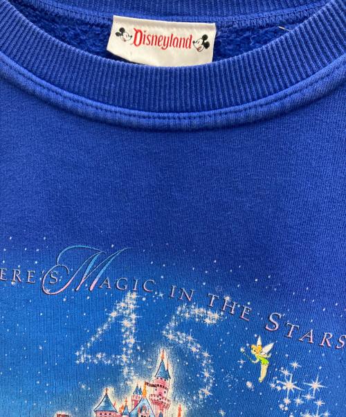 DISNEY LAND（ディズニーランド）Disney land (ディズニーランド) スウェット ブルー サイズ:Lの古着・服飾アイテム
