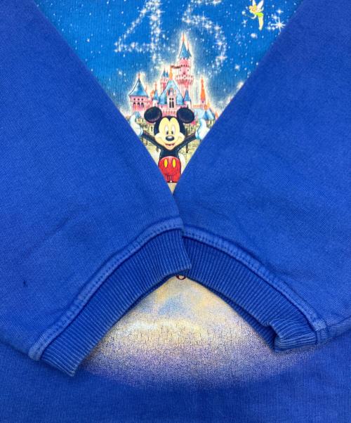 DISNEY LAND（ディズニーランド）Disney land (ディズニーランド) スウェット ブルー サイズ:Lの古着・服飾アイテム