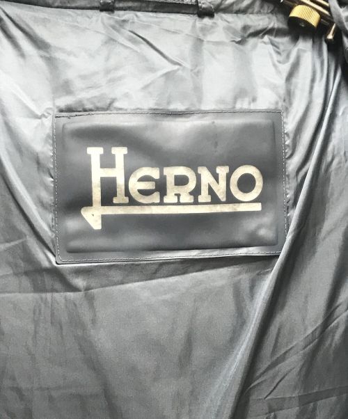 HERNO（ヘルノ）HERNO (ヘルノ) ダウンコート グレー サイズ:46の古着・服飾アイテム