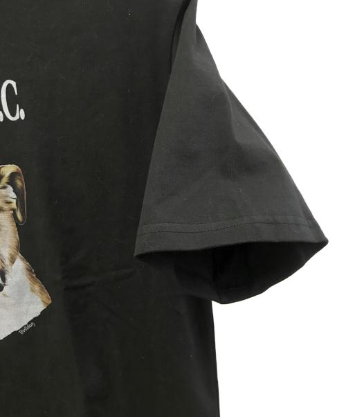 Schott（ショット）Schott (ショット) 半袖カットソー ブラック サイズ:L 未使用品の古着・服飾アイテム