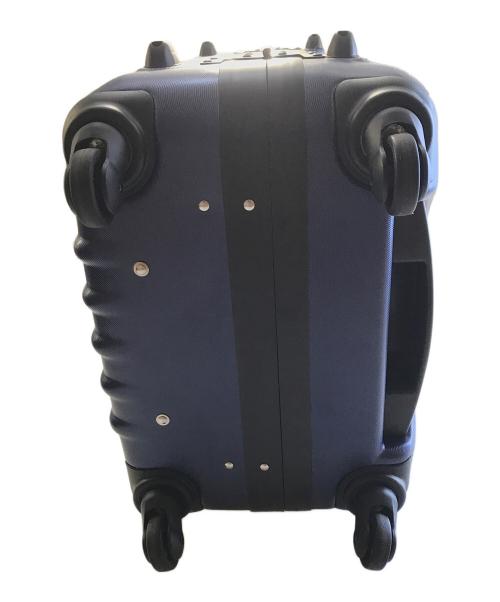 PROTEX（プロテックス）PROTEX (プロテックス) キャリーバッグ ネイビーの古着・服飾アイテム