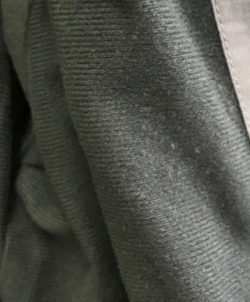 WILD THINGS（ワイルドシングス）WILD THINGS (ワイルドシングス) SUPPLEX DENALI FLEECE LINING グレー サイズ:Lの古着・服飾アイテム