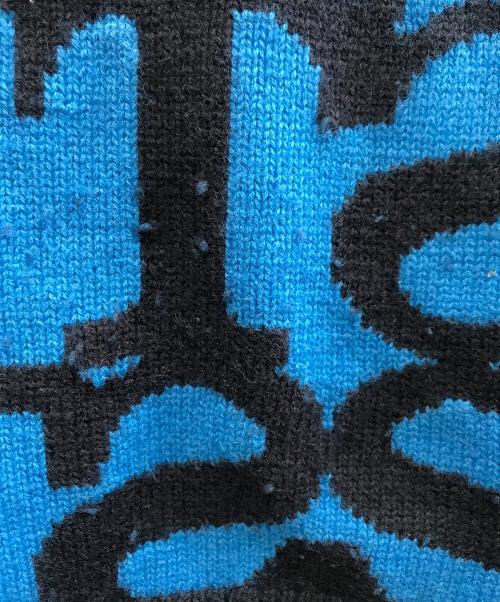 stussy（ステューシー）stussy (ステューシー) ニットベスト ブルー サイズ:Mの古着・服飾アイテム