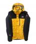 THE NORTH FACE（ザ ノース フェイス）の古着「Mountain Guide Pro jacket」｜ブラック×イエロー