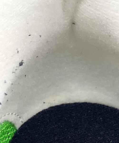 NIKE（ナイキ）NIKE (ナイキ) sacai (サカイ) スニーカー グリーン サイズ:26.5の古着・服飾アイテム