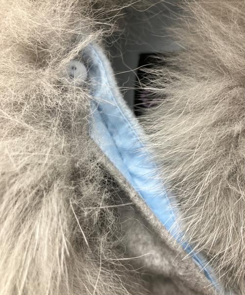 RUIRUE BOUTIQUE（ルイルエブティック）RUIRUE BOUTIQUE (ルイルエブティック) ケープコート グレー サイズ:Sの古着・服飾アイテム