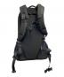 ARC'TERYX (アークテリクス) バックパック：12000円