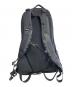 ARC'TERYX (アークテリクス) リュック ブラック：12000円